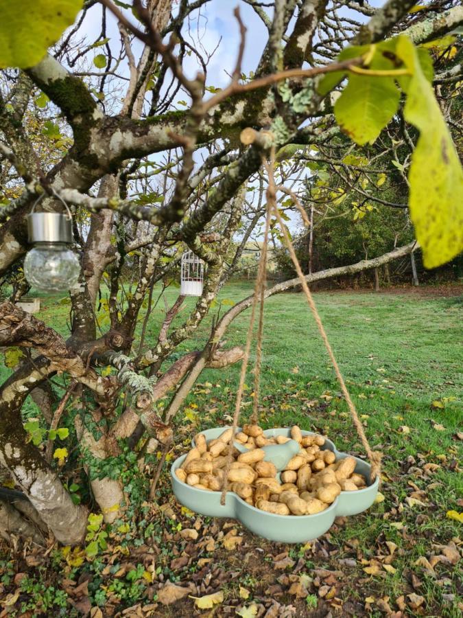 Le Coq En Repos Bed & Breakfast Saint-Sylvestre-sur-Lot Luaran gambar